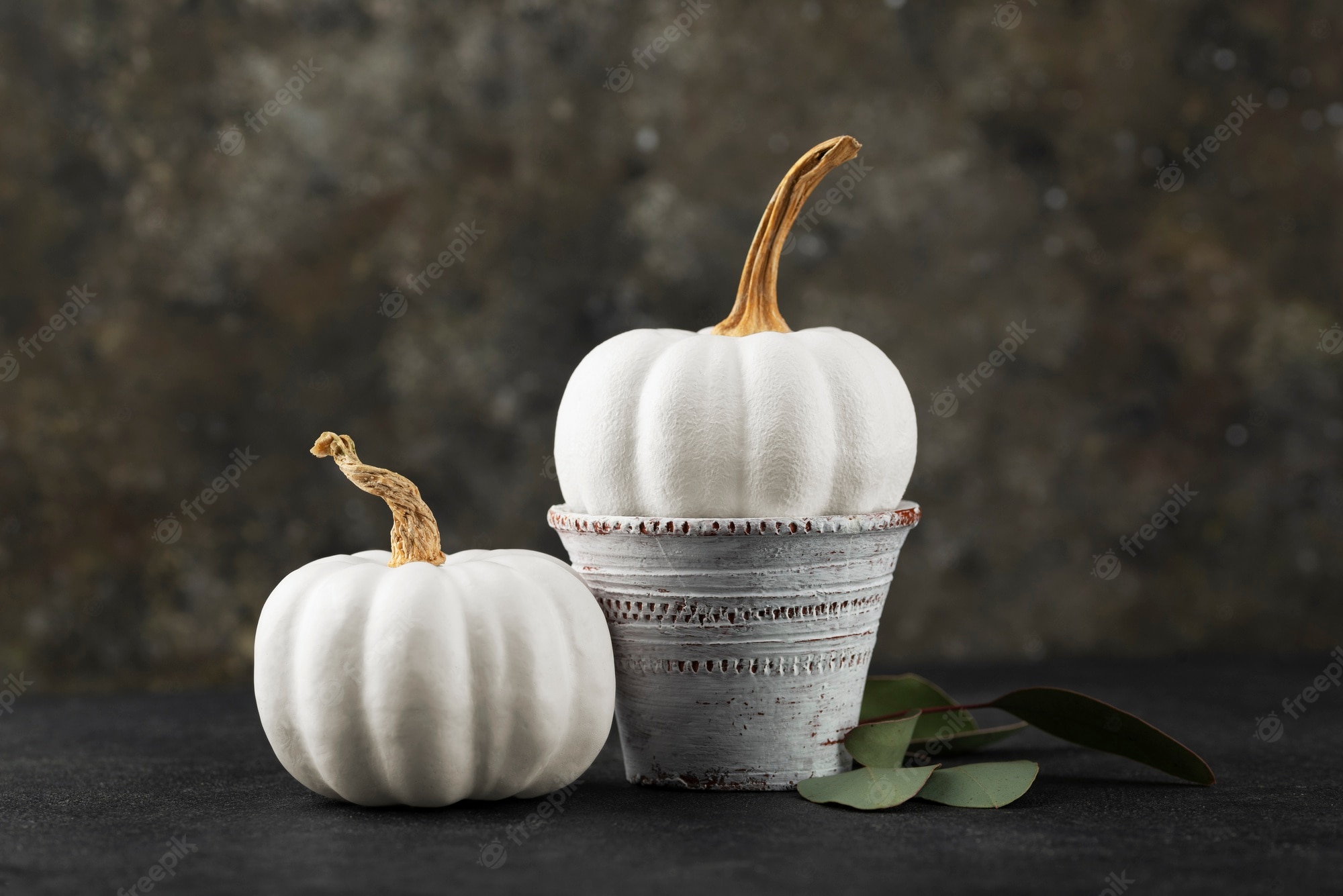 White Pumpkin Wallpapers