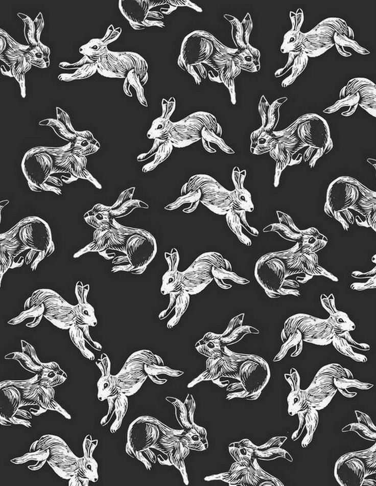 White Rabbit Wallpapers