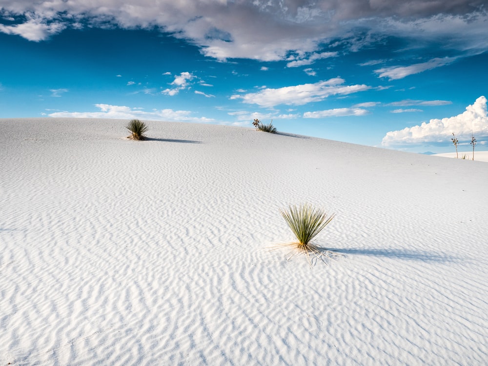 White Sand Wallpapers