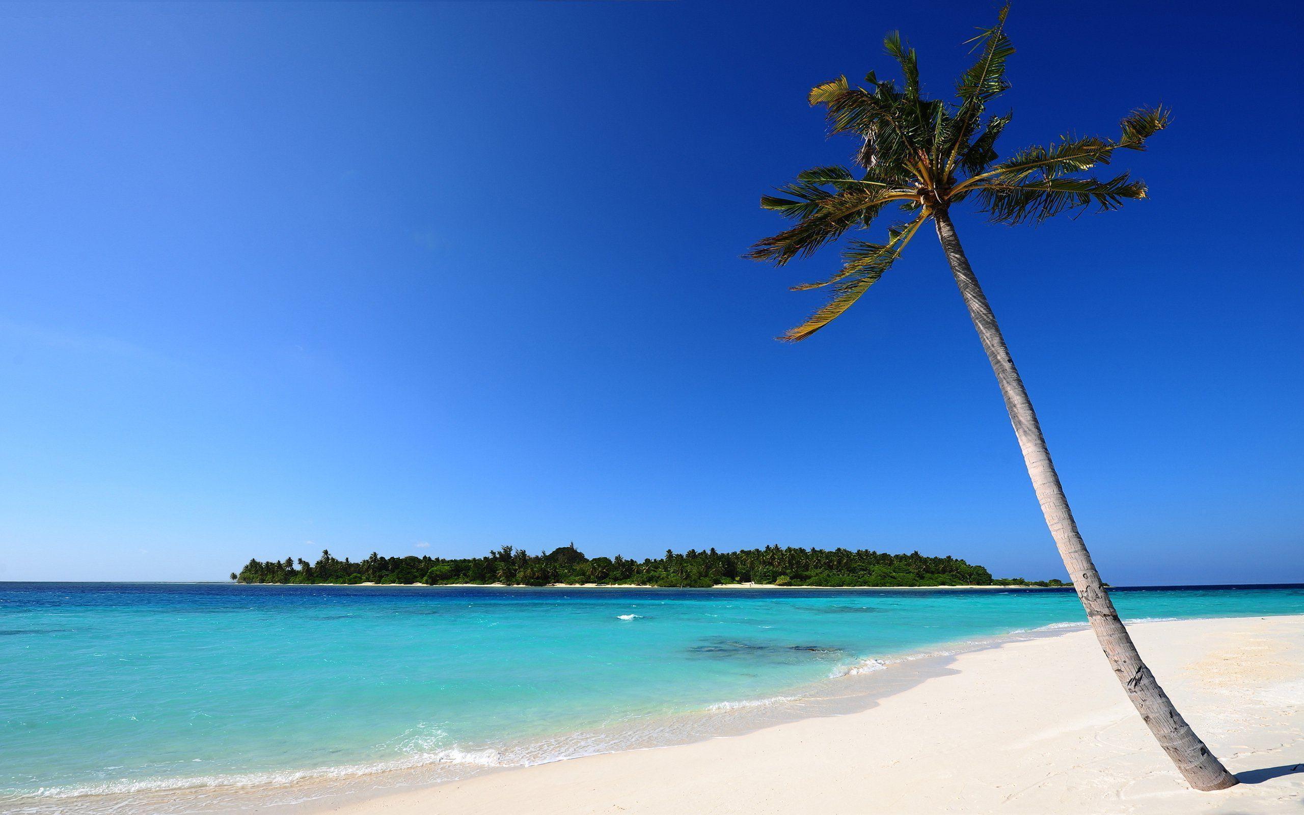 White Sand Wallpapers