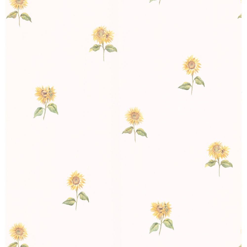 White Sunflower Wallpapers