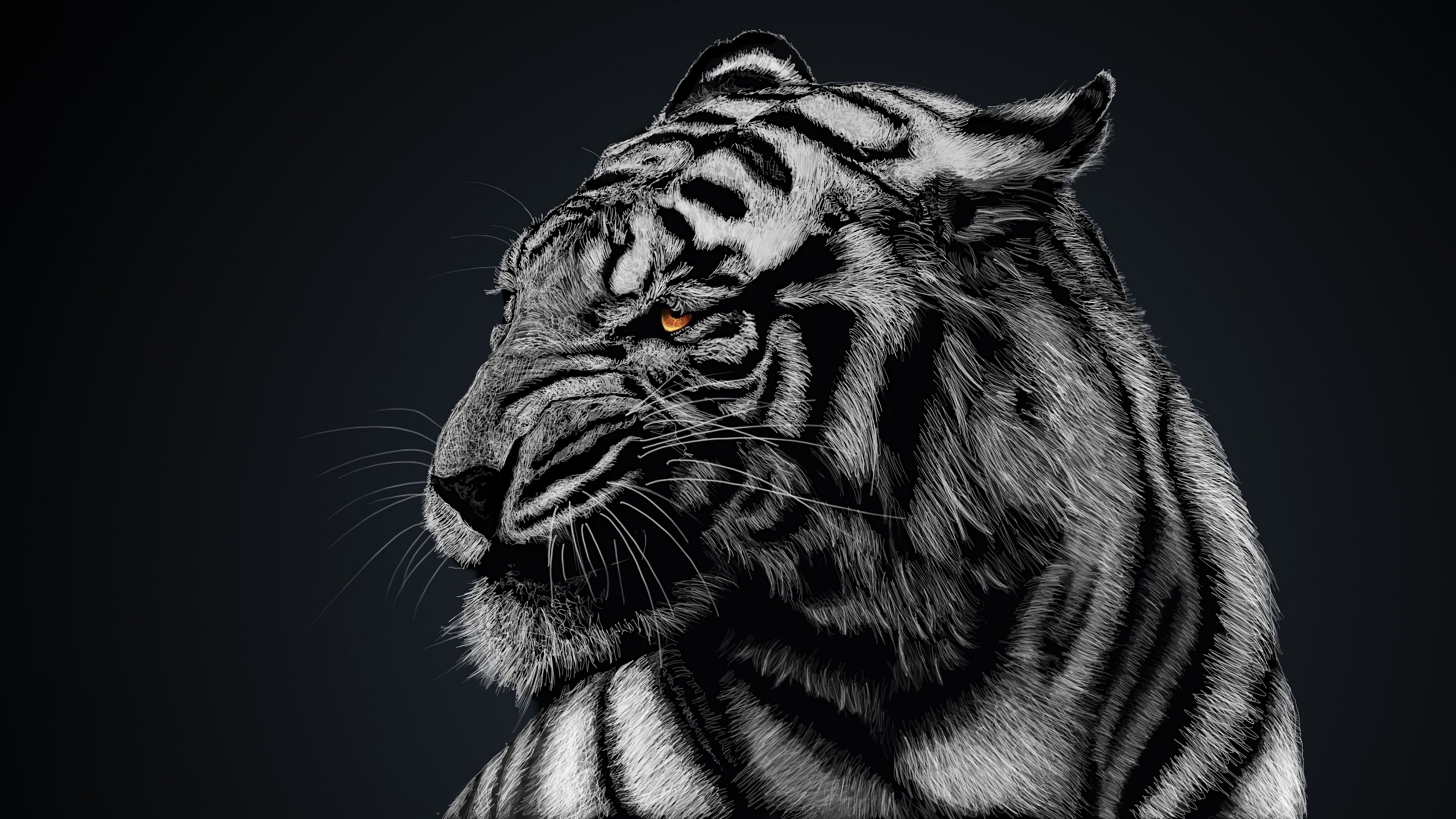 White Tiger 4K Wallpapers