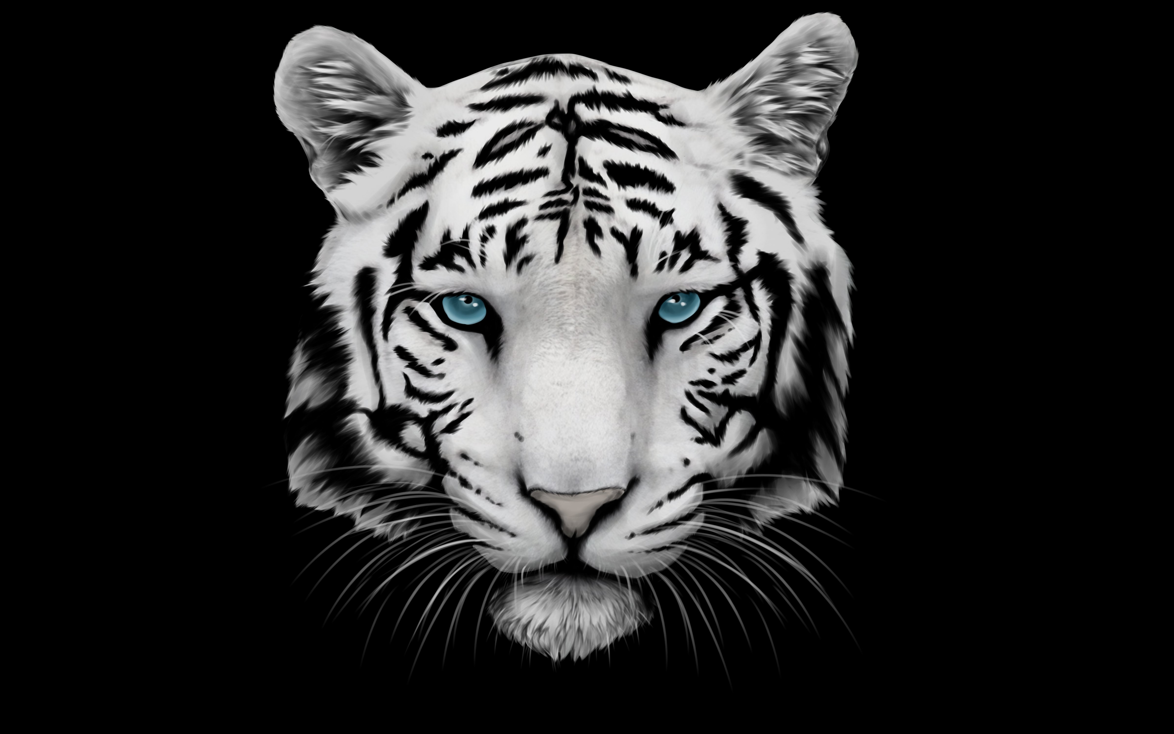 White Tiger 4K Wallpapers