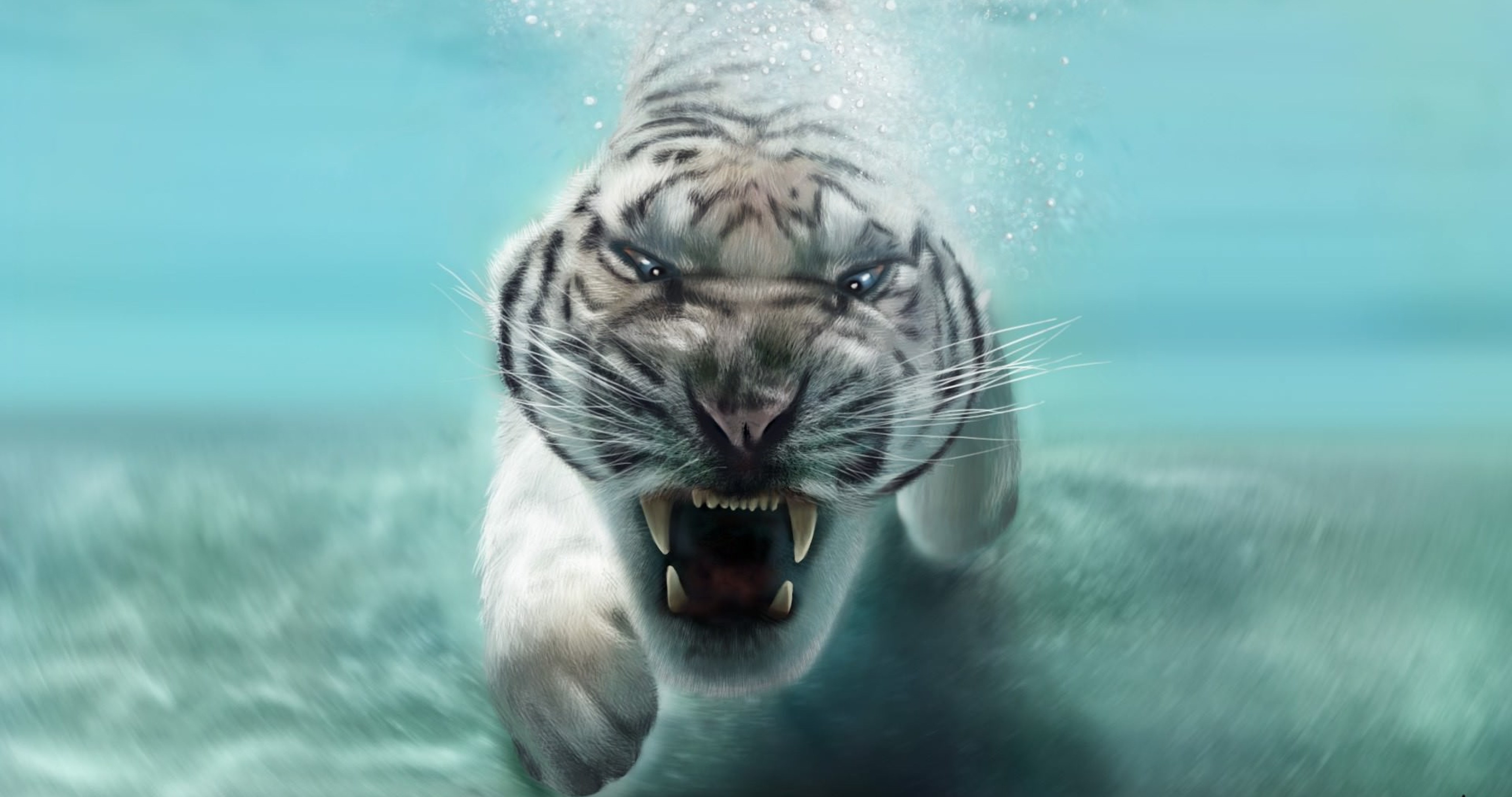 White Tiger 4K Wallpapers