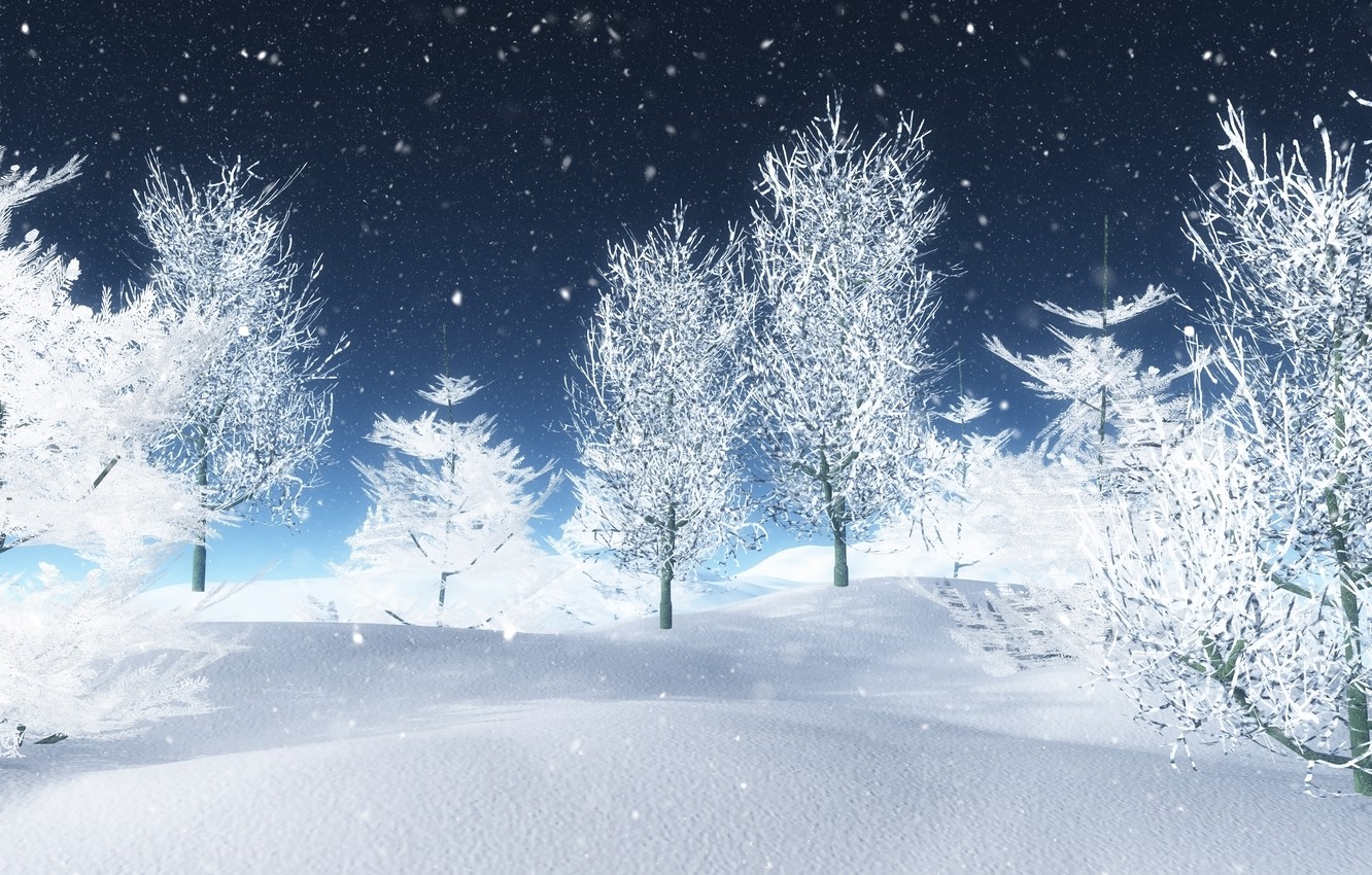 White Tree Snow Wallpapers