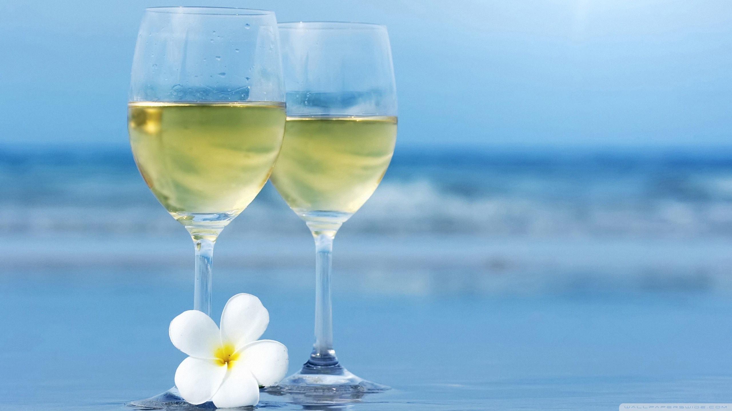 White Wine Wallpapers