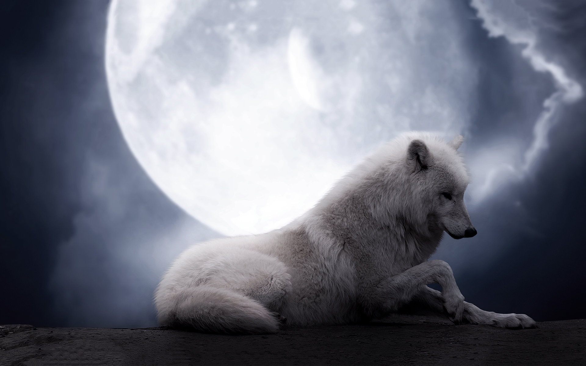 White Wolf Wallpapers