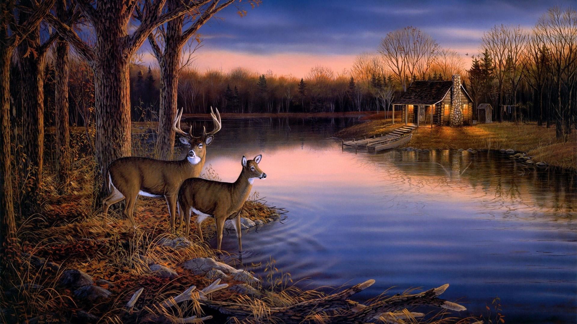 Whitetail Deer Wall Paper Wallpapers