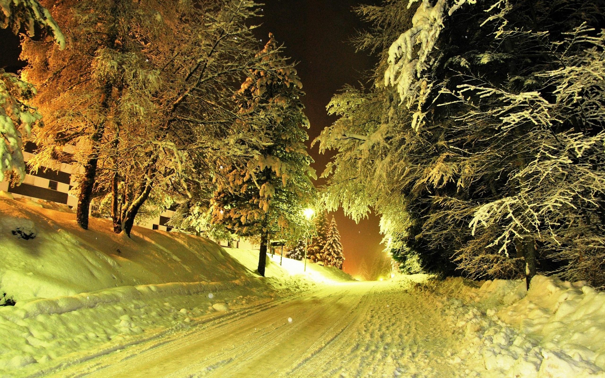 Widescreen Winter Night Wallpapers