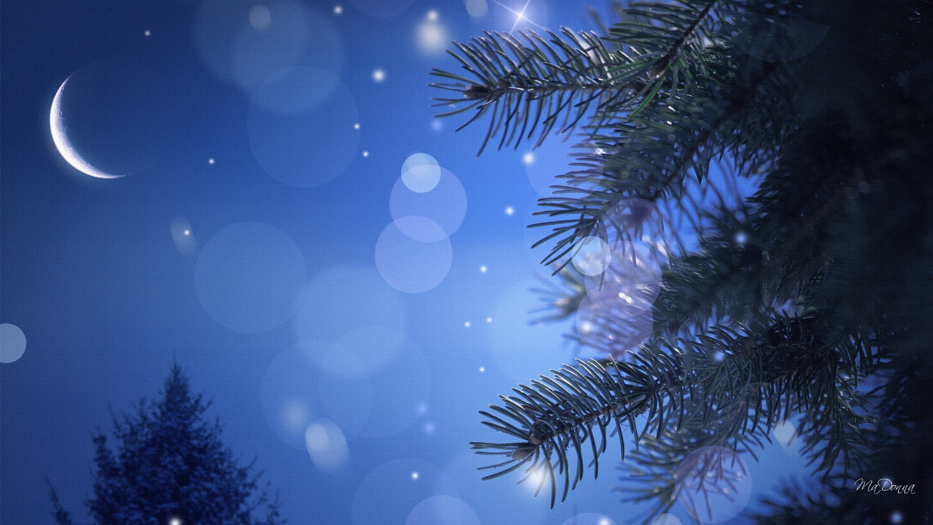 Widescreen Winter Night Wallpapers