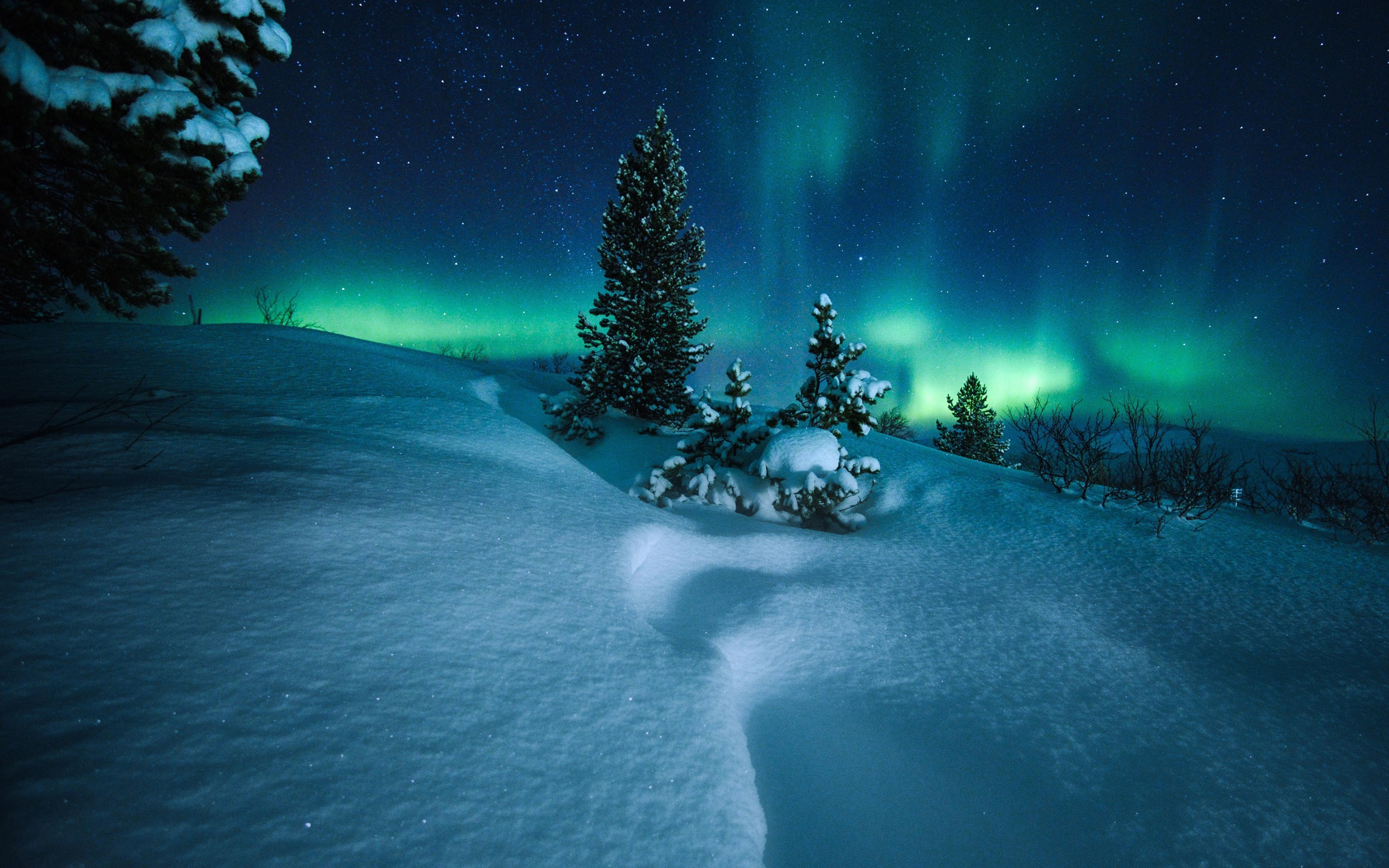 Widescreen Winter Night Wallpapers