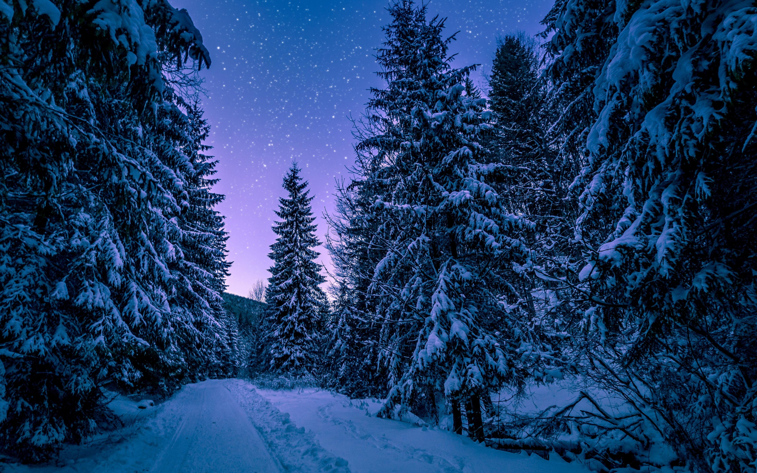 Widescreen Winter Night Wallpapers