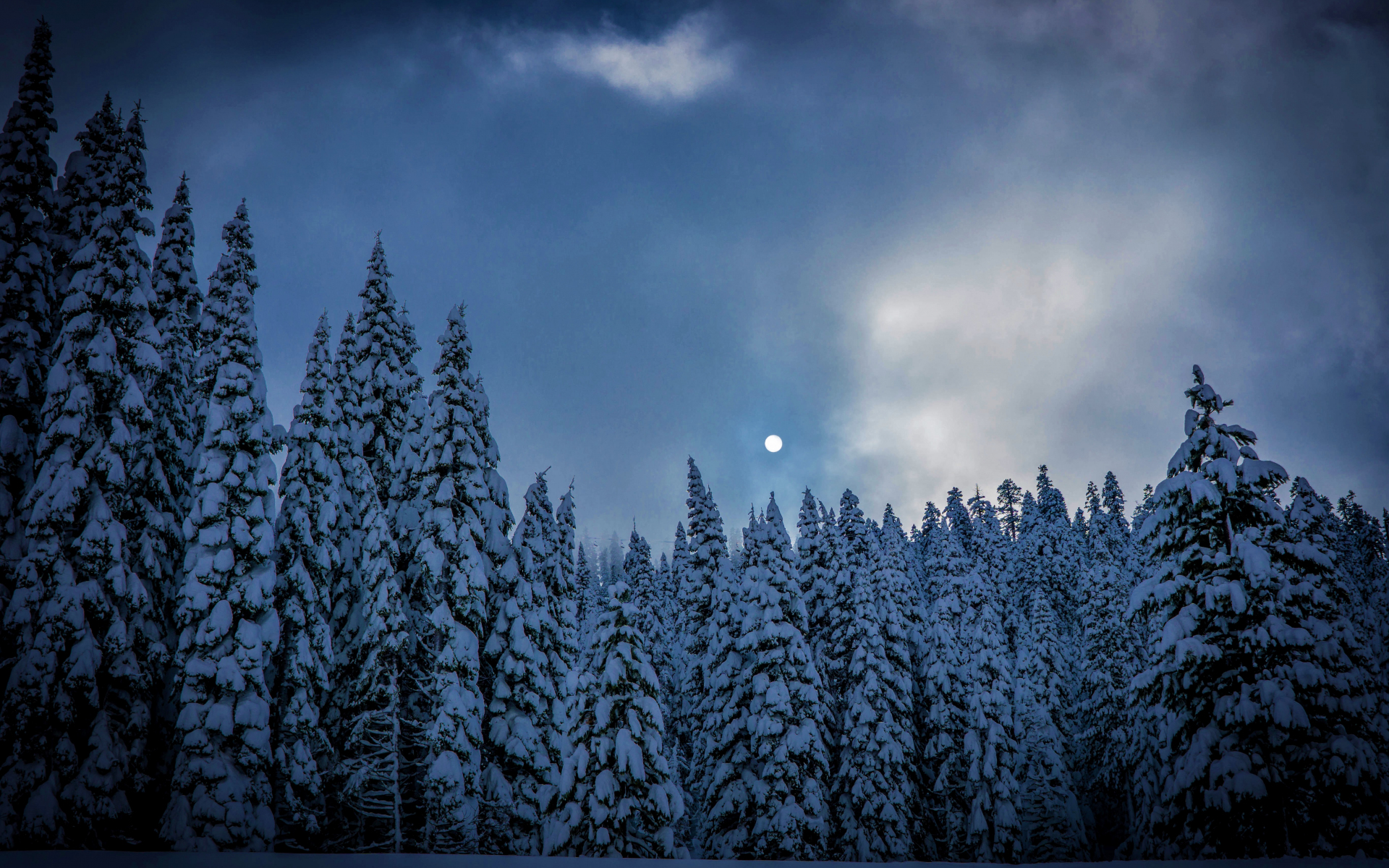 Widescreen Winter Night Wallpapers