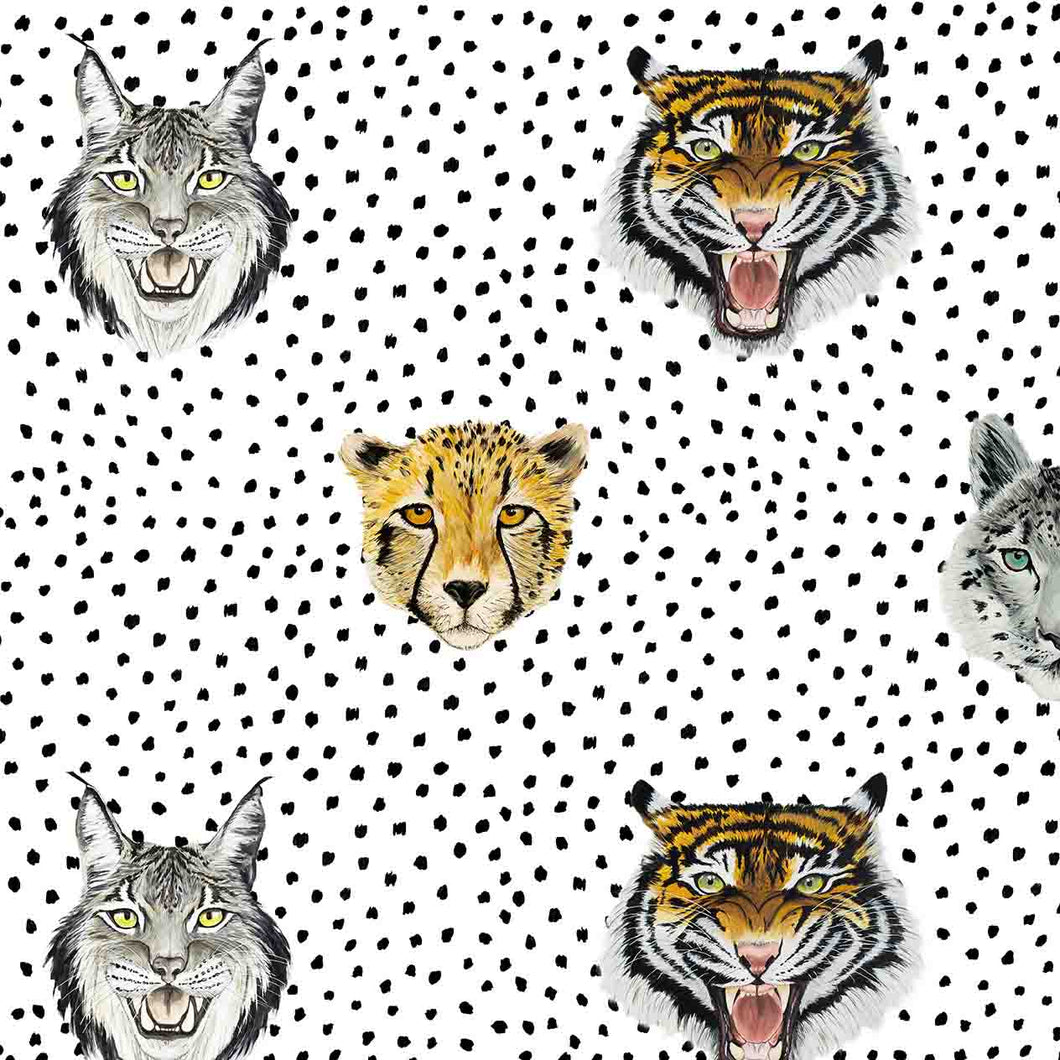 Wild Cats Wallpapers