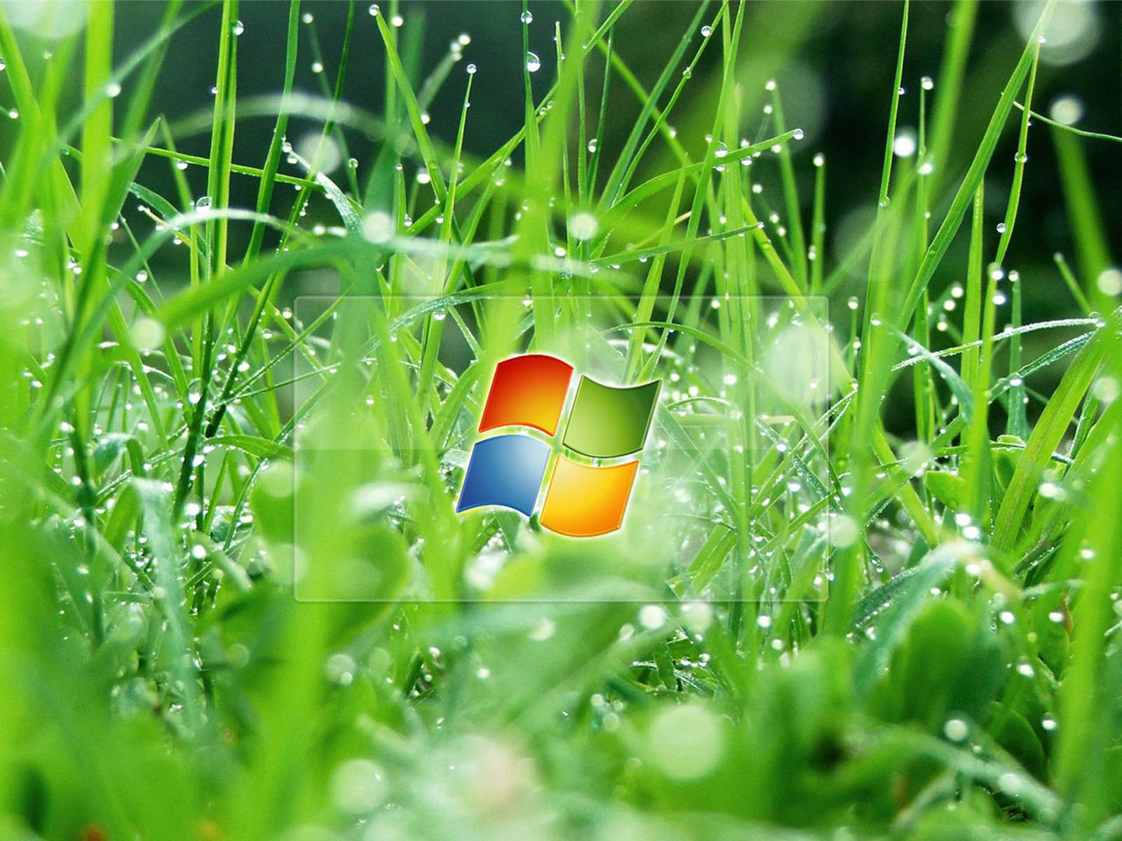 Window Xp Desktop Wallpapers