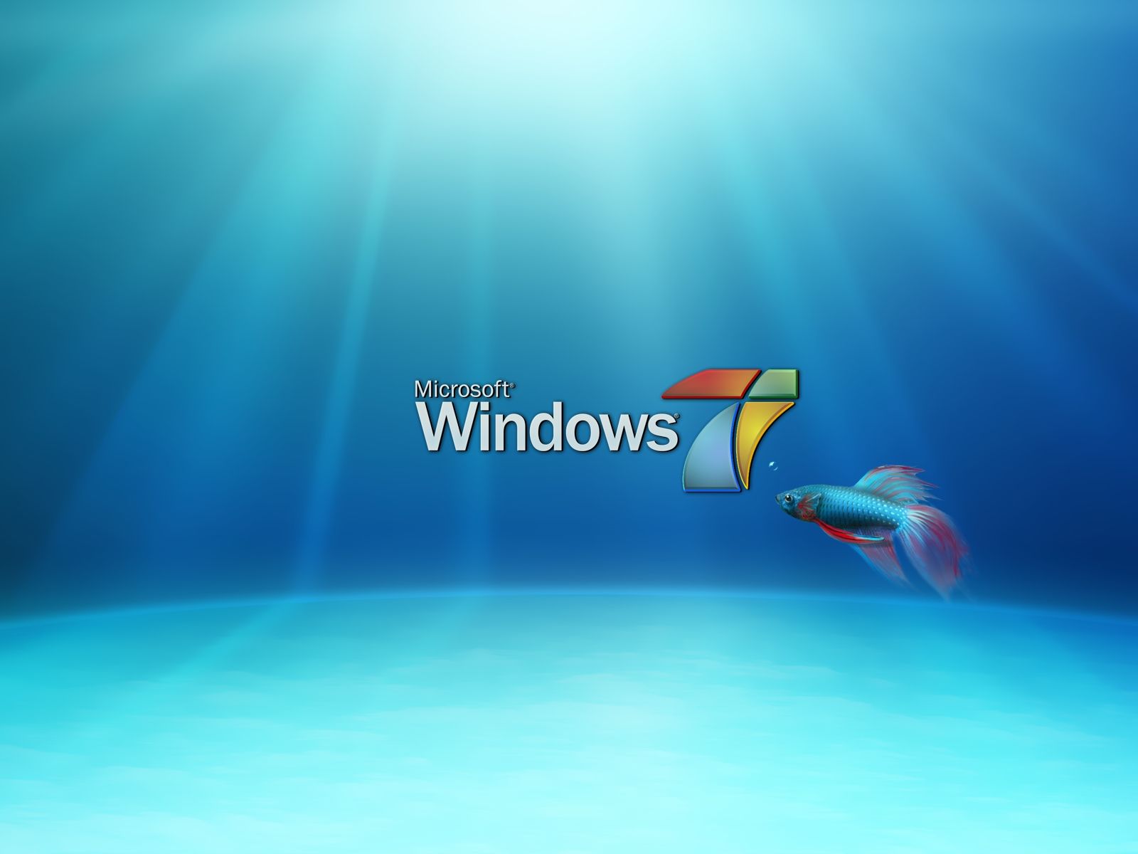 Windows 7 Professional Wallpapers