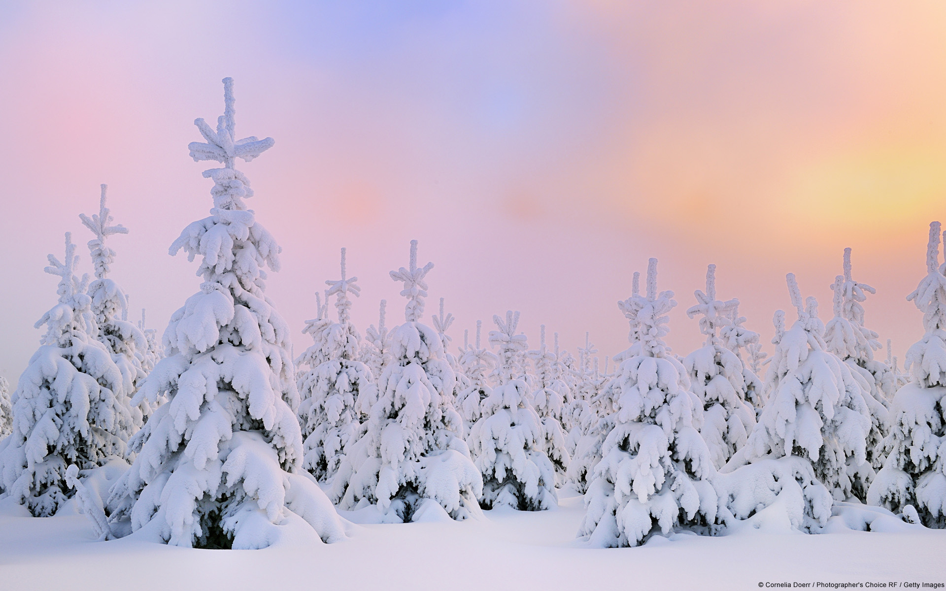 Windows Winter Wallpapers