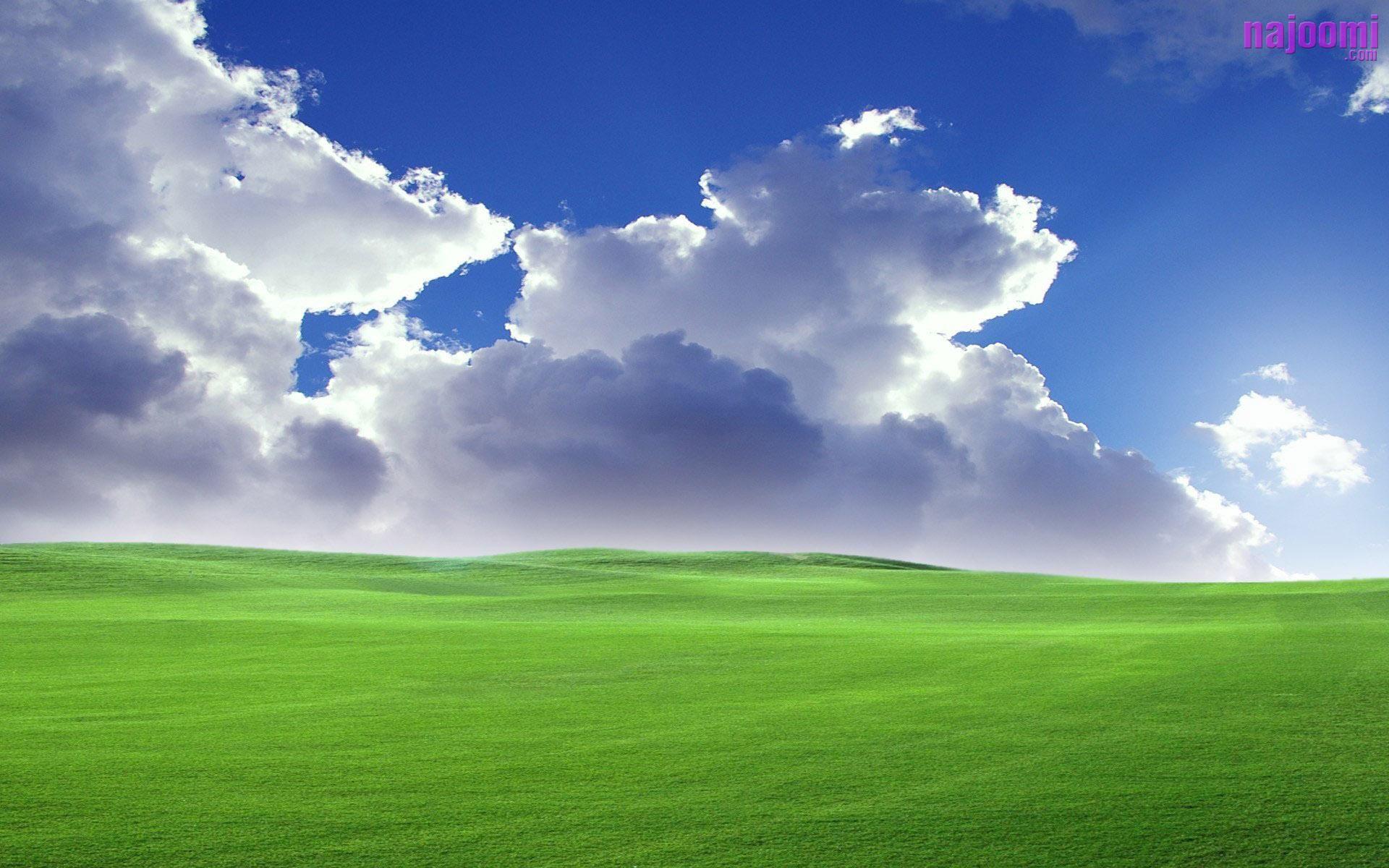 Windows Xp Logo Wallpapers