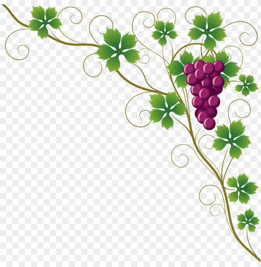 Wine Themed Border Wallpapers