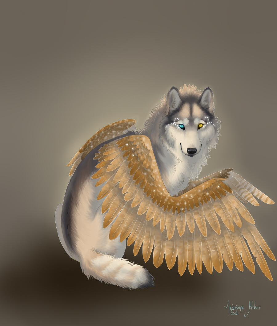 Winged Wolf Wallpapers