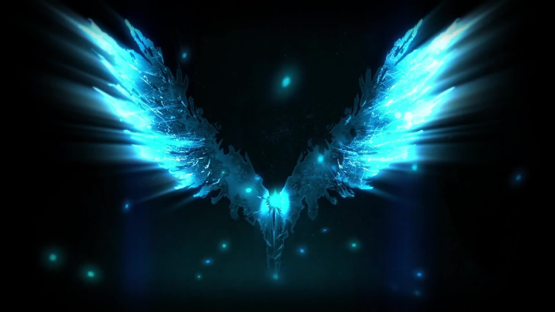 Wings Wallpapers