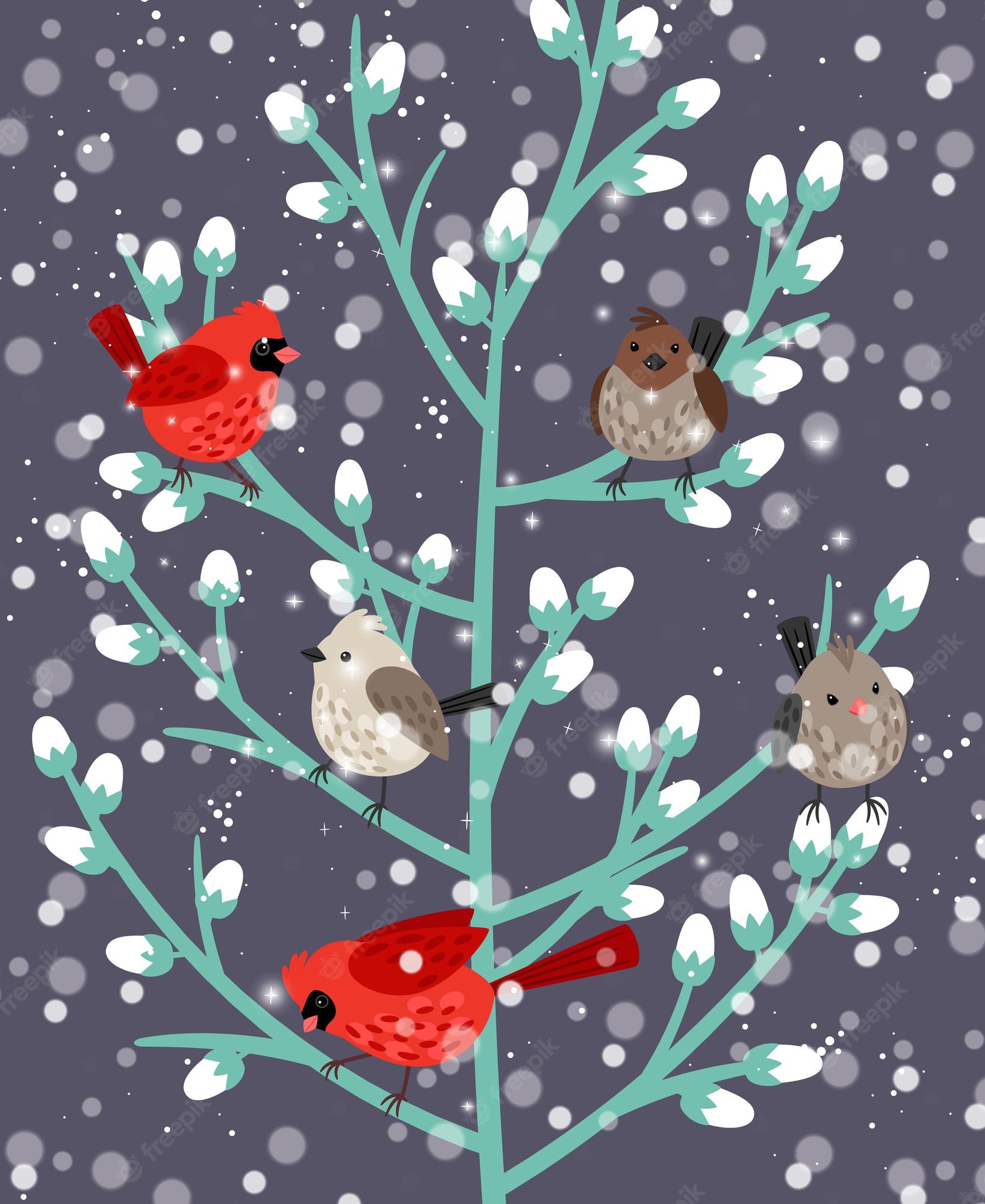 Winter Birds Wallpapers