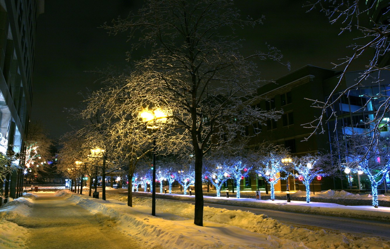 Winter City Lights Wallpapers