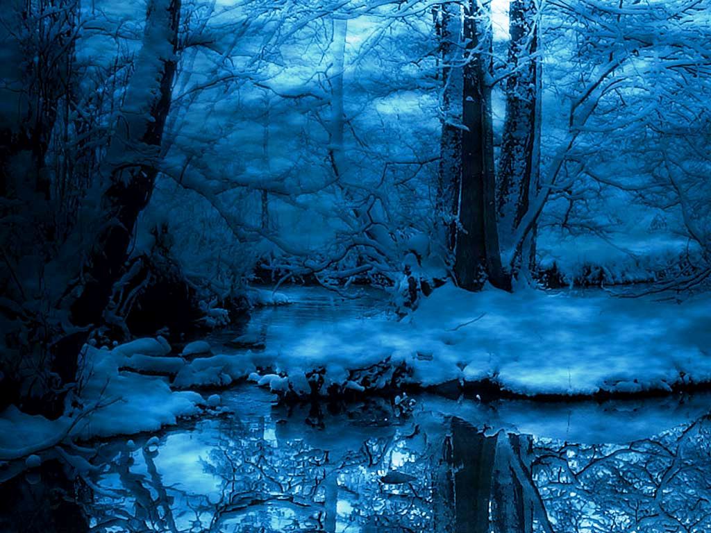 Winter Forest Night Wallpapers