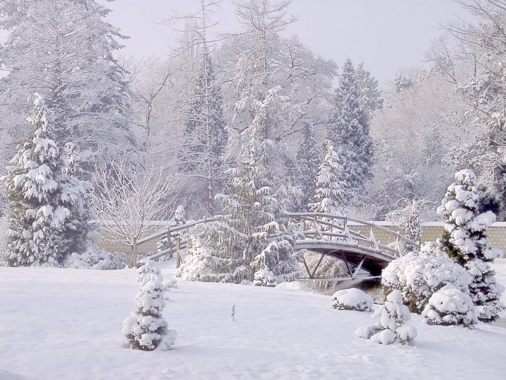 Winter Garden Photo Wallpapers