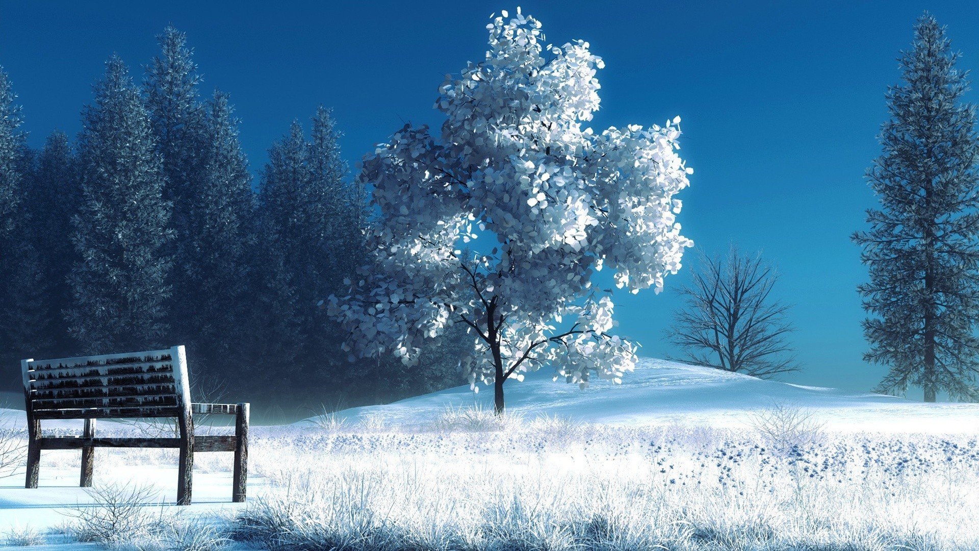 Winter Landscapes Wallpapers