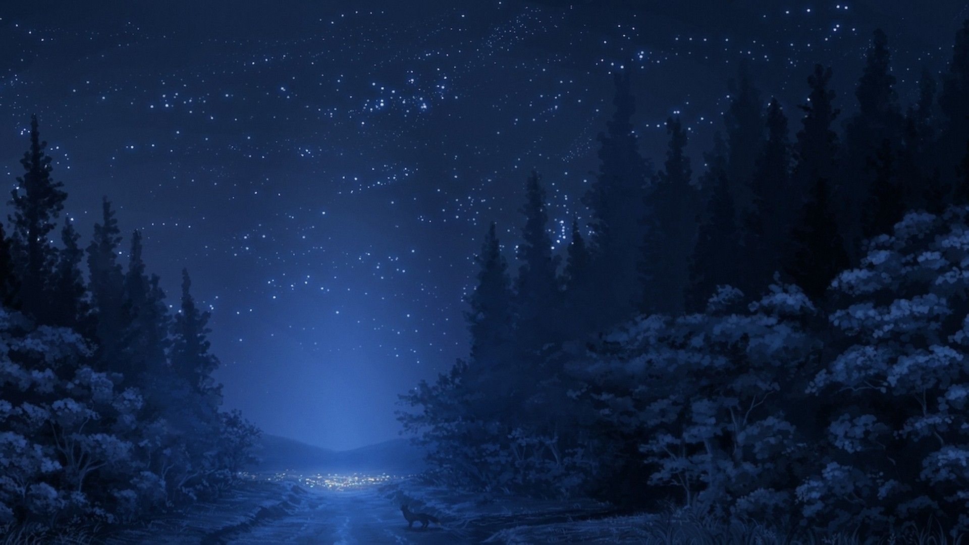 Winter Night Stars Wallpapers