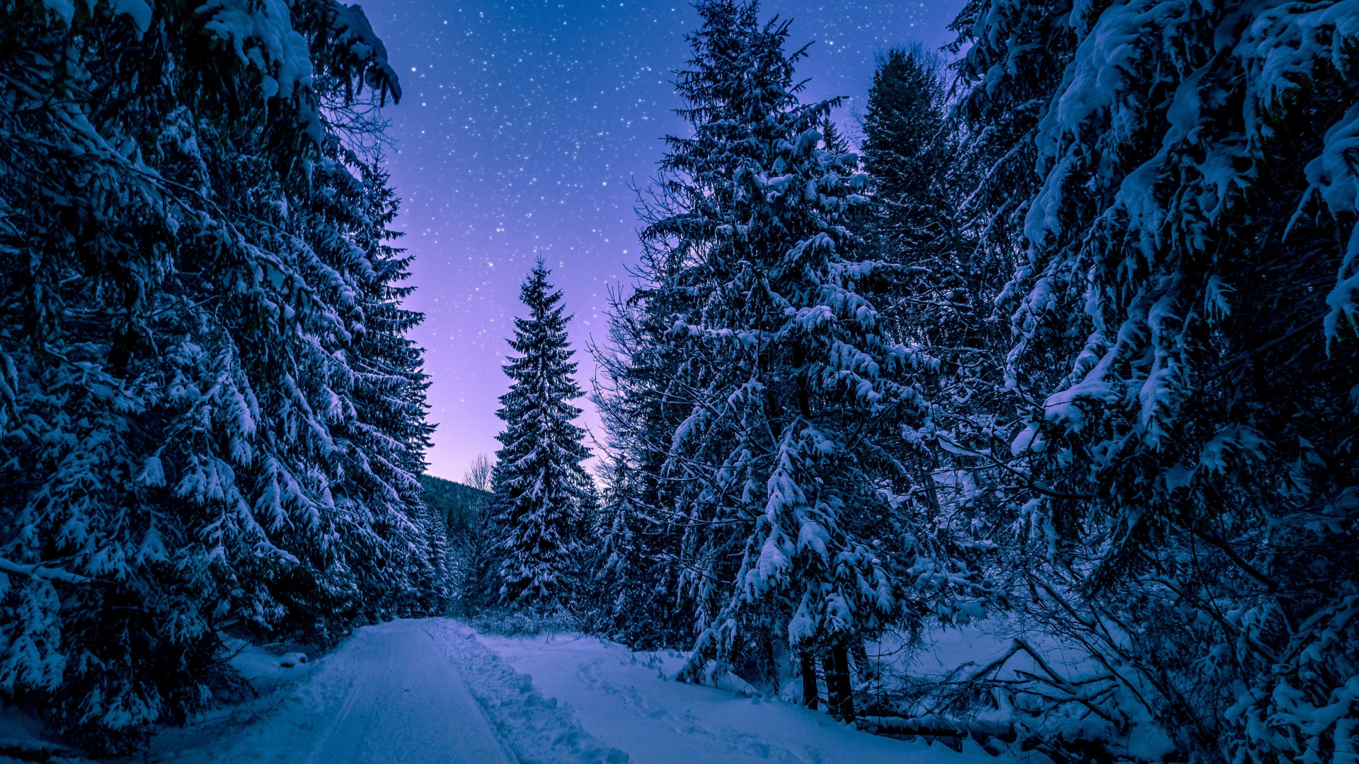 Winter Night 1920X1080 Wallpapers