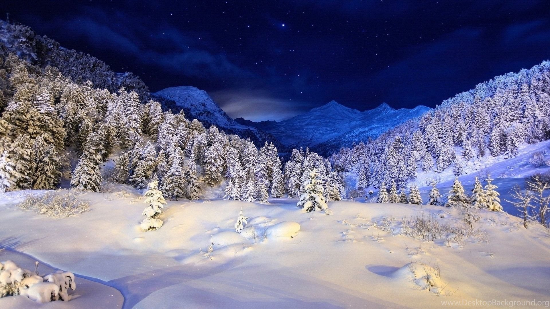 Winter Night 1920X1080 Wallpapers