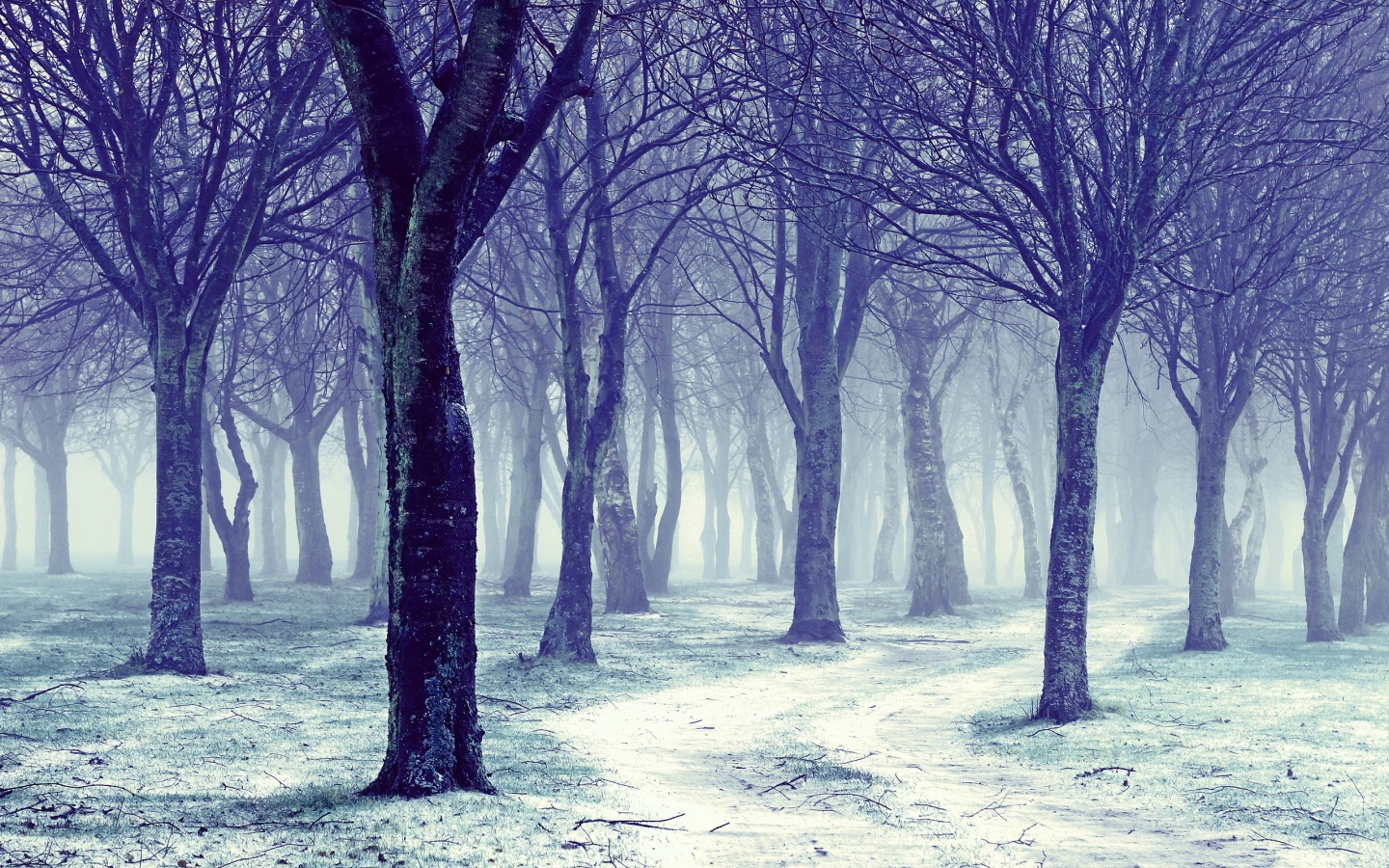 Winter Quotes Facebook Cover Photos Wallpapers