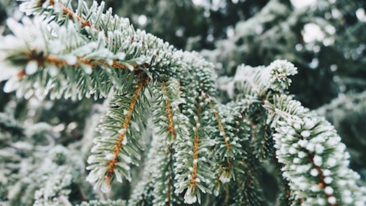 Winter Quotes Facebook Cover Photos Wallpapers