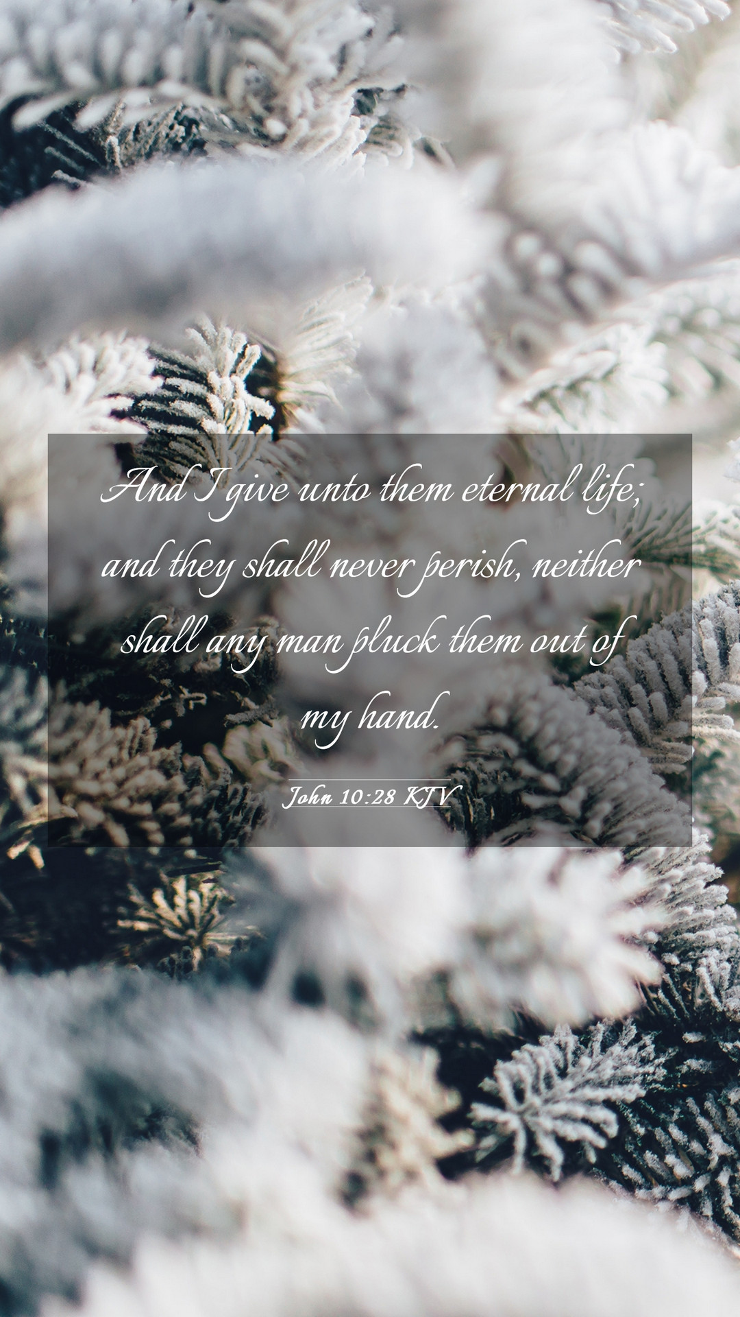 Winter Scripture Wallpapers