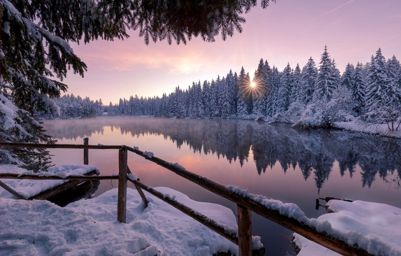 Winter Sunrise Forest Wallpapers