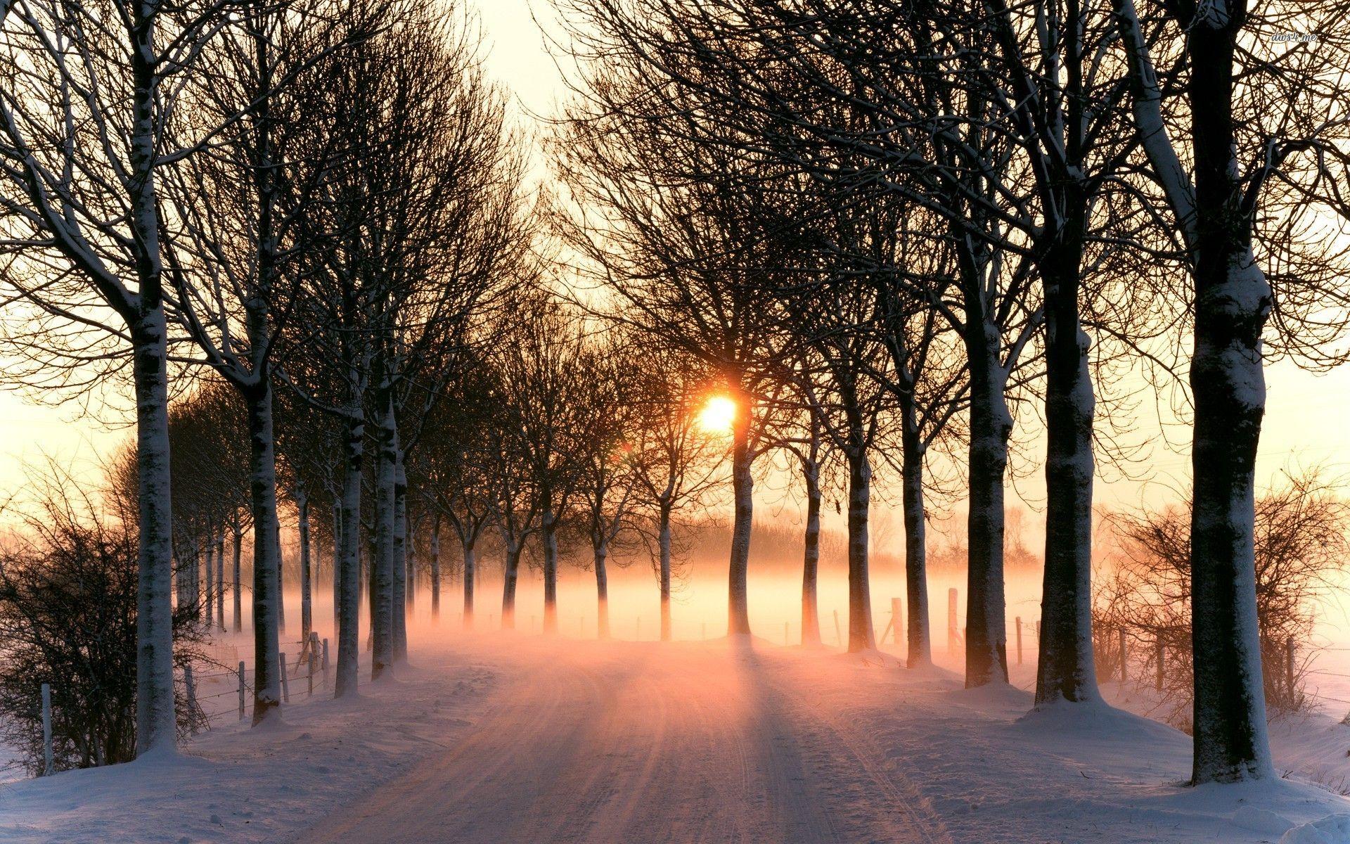 Winter Sunshine Wallpapers