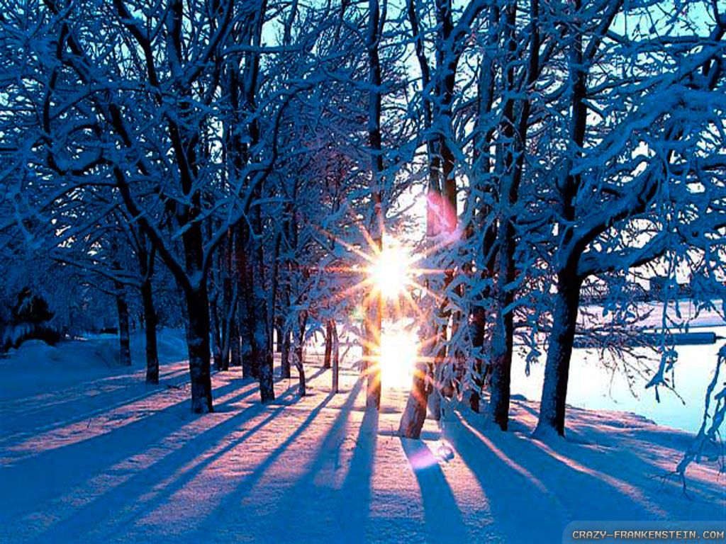 Winter Sunshine Wallpapers