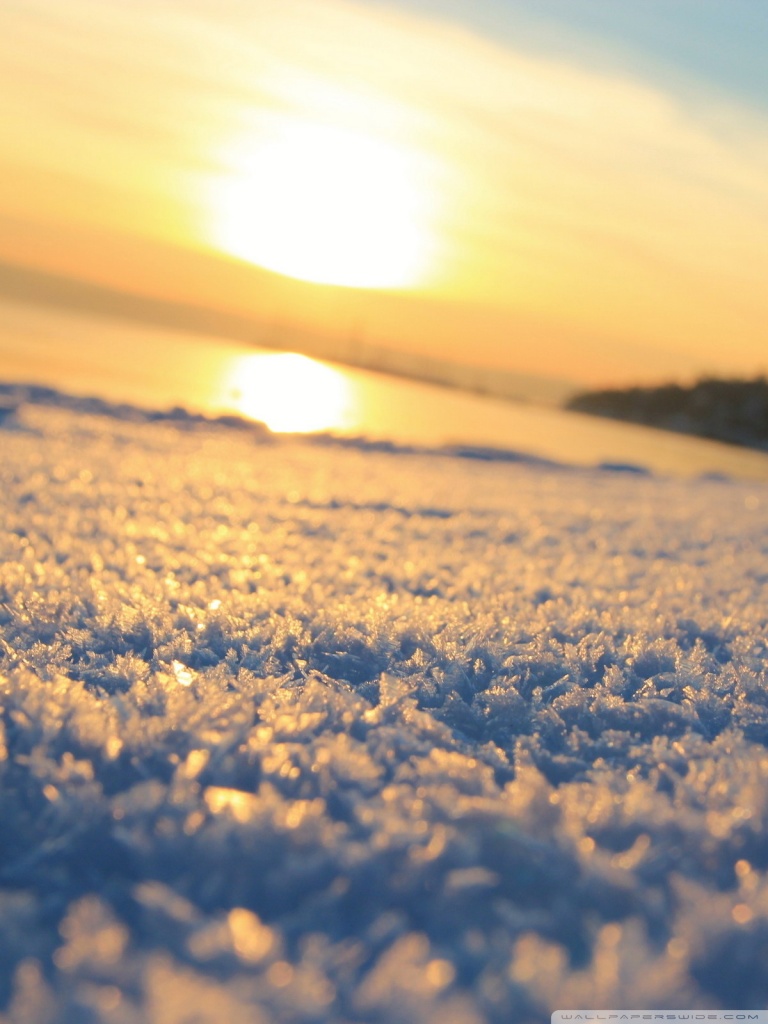 Winter Sunshine Wallpapers