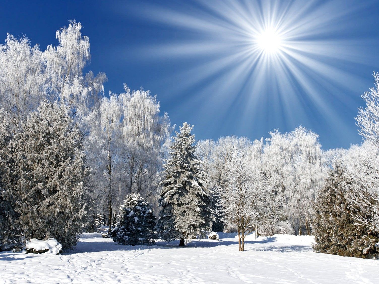 Winter Sunshine Wallpapers