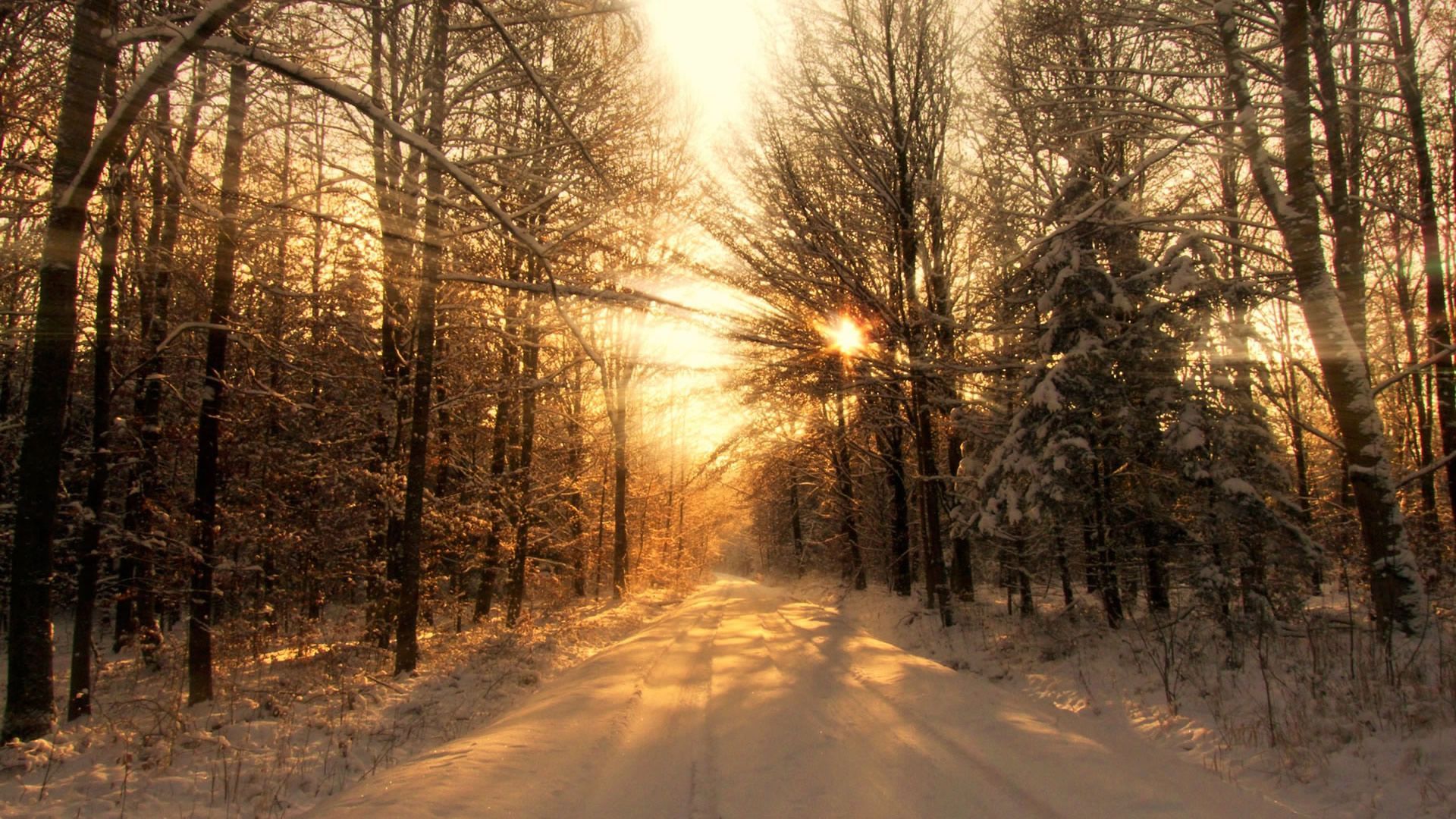 Winter Sunshine Wallpapers