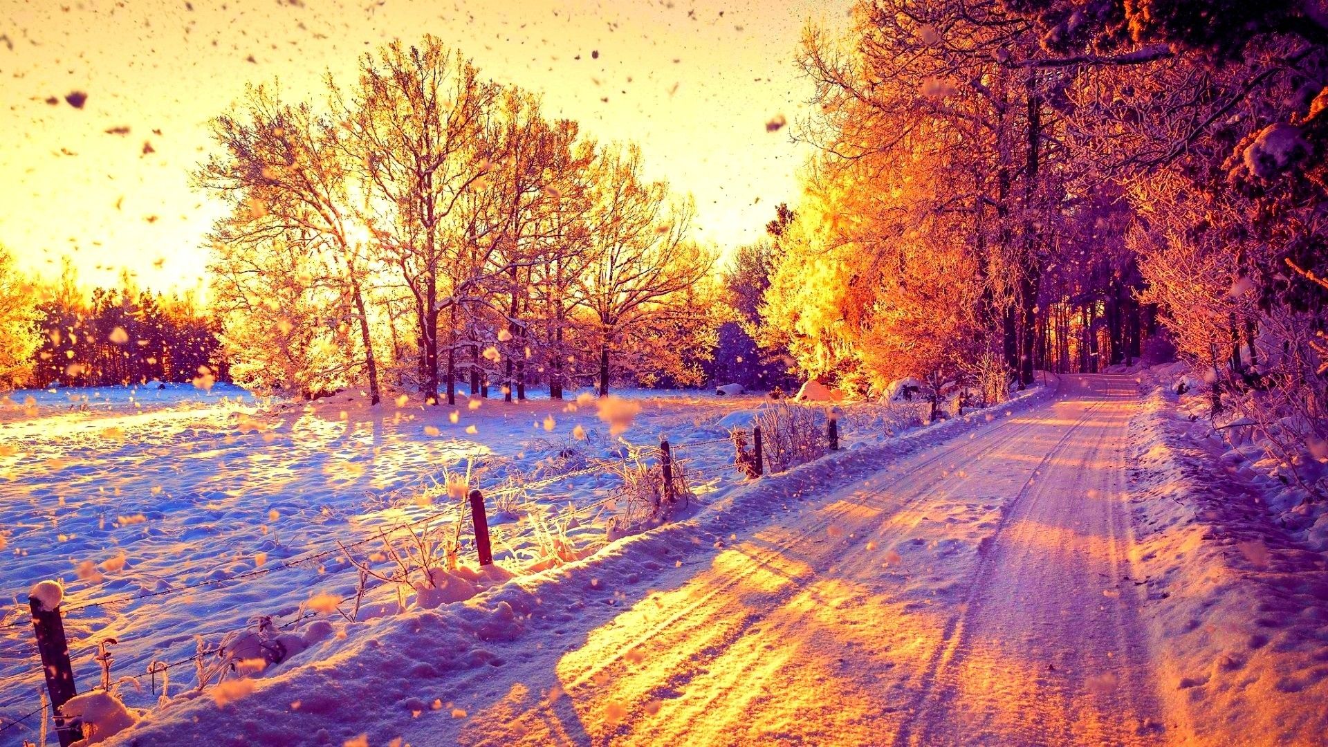 Winter Sunshine Wallpapers