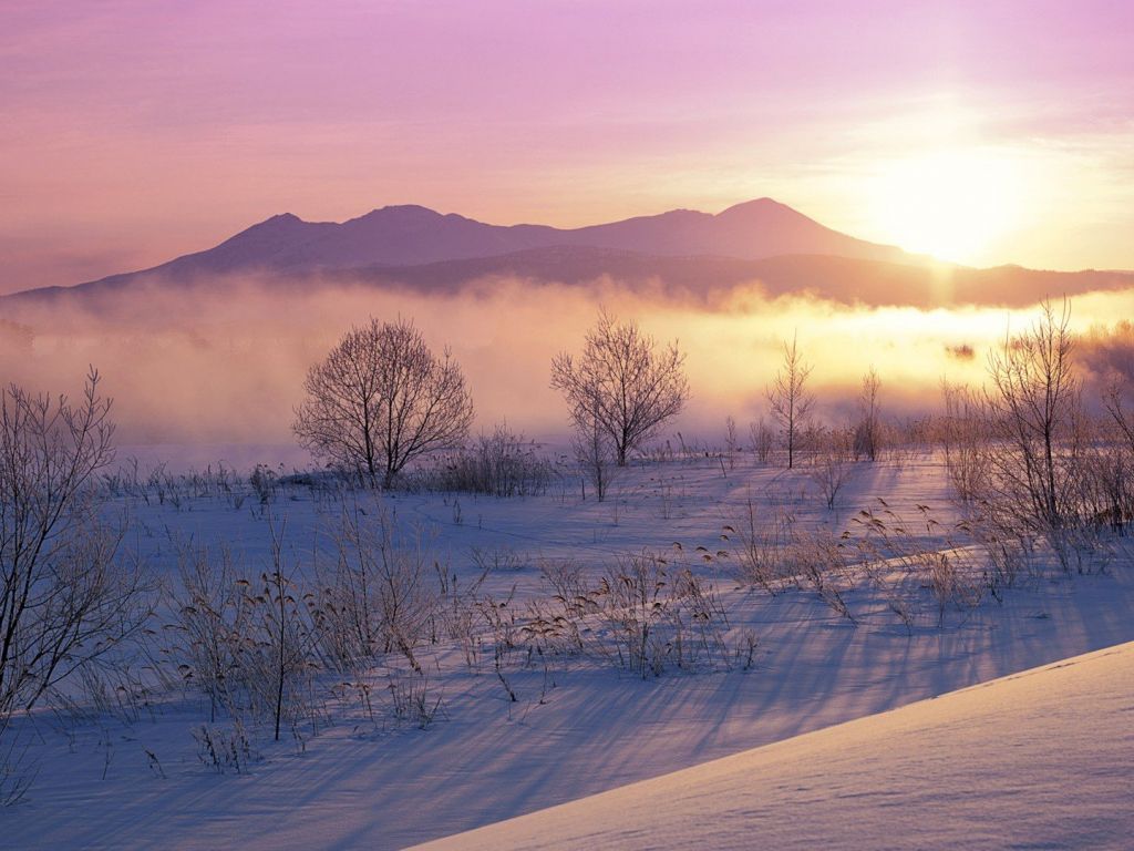 Winter Sunshine Wallpapers