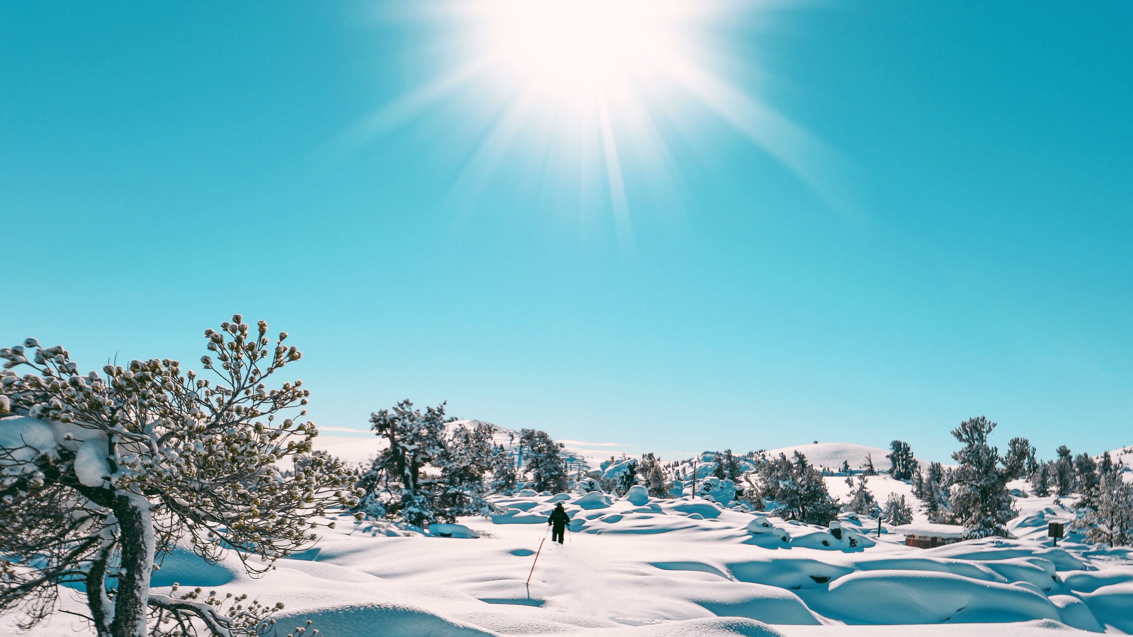 Winter Sunshine Wallpapers