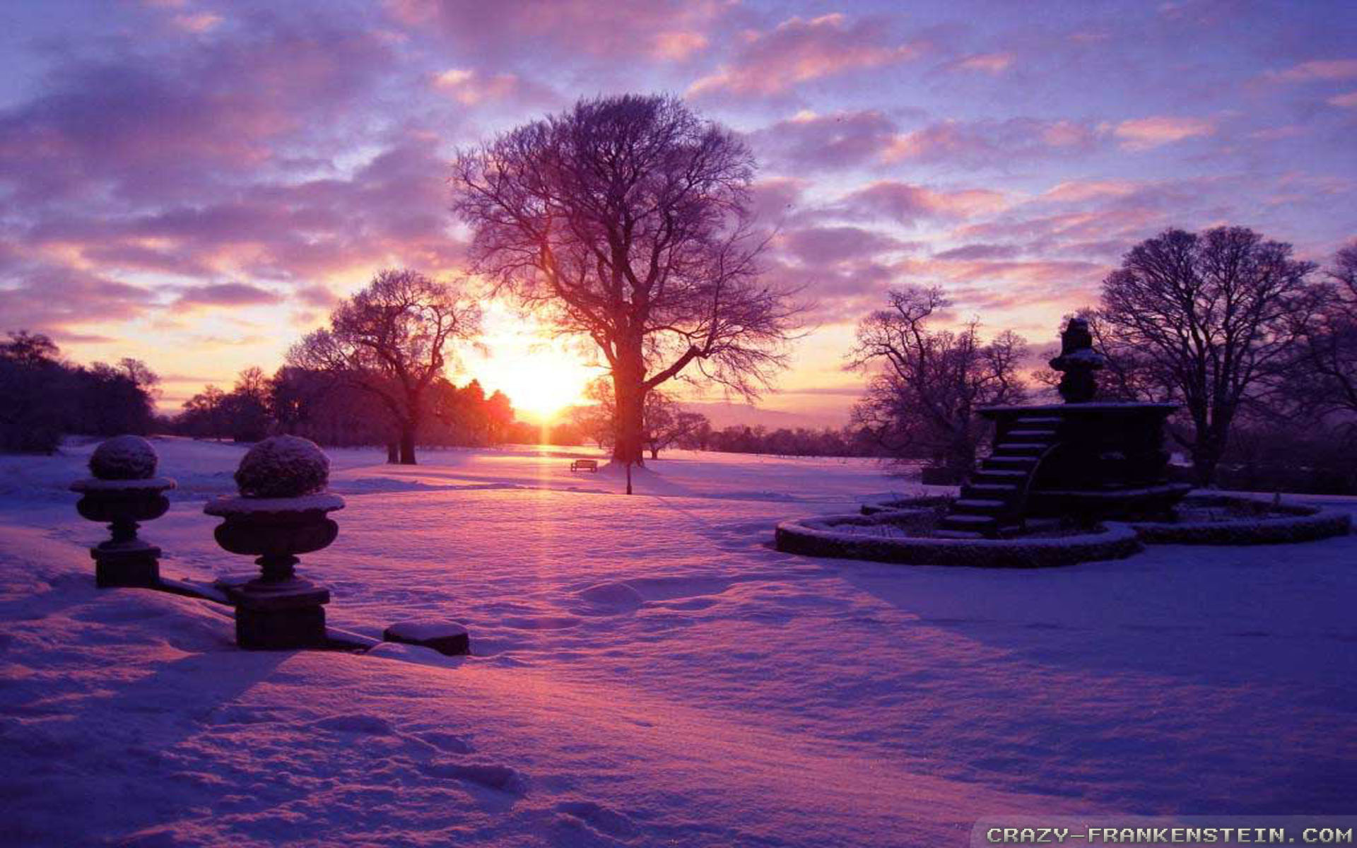 Winter Sunshine Wallpapers