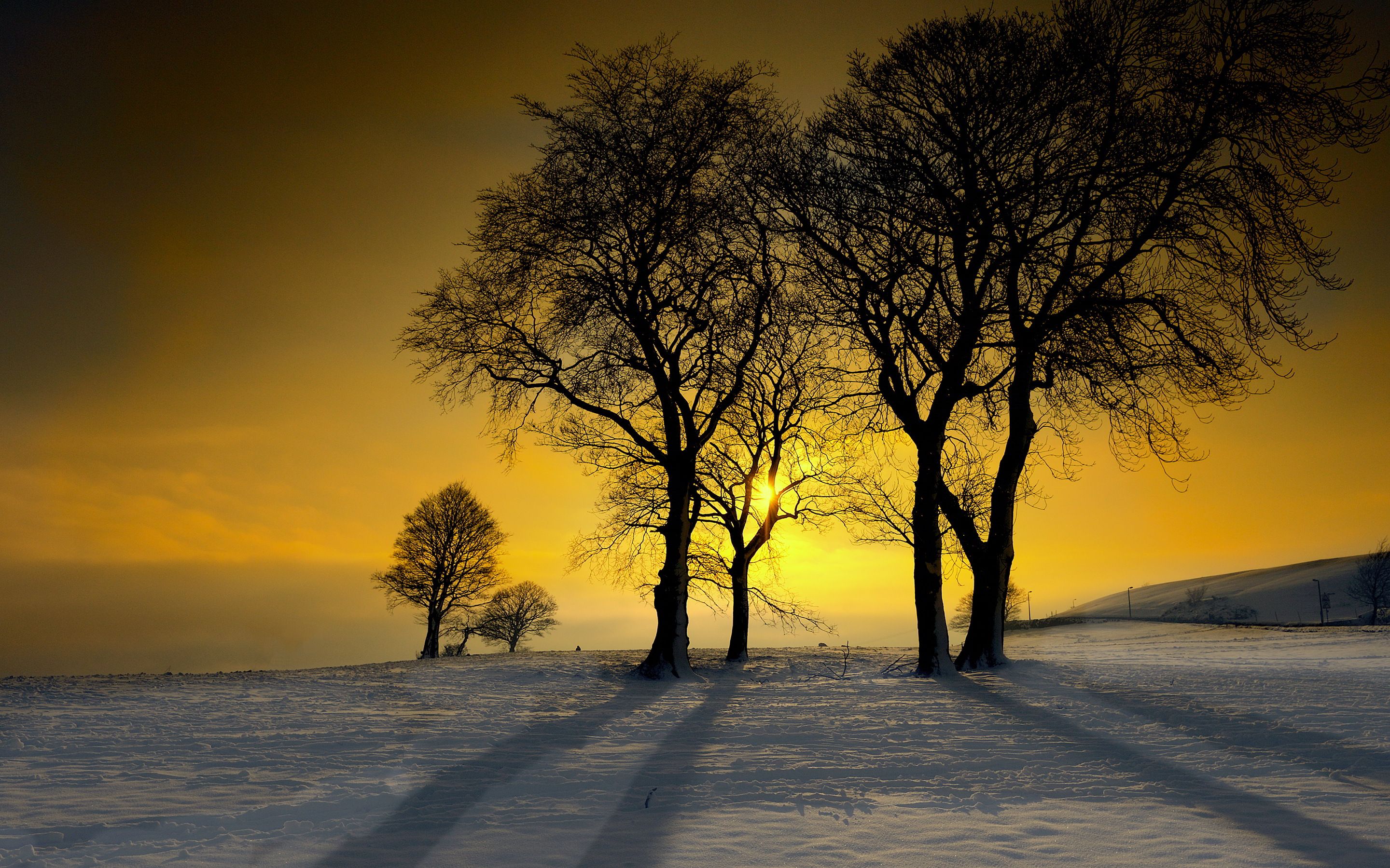 Winter Sunshine Wallpapers