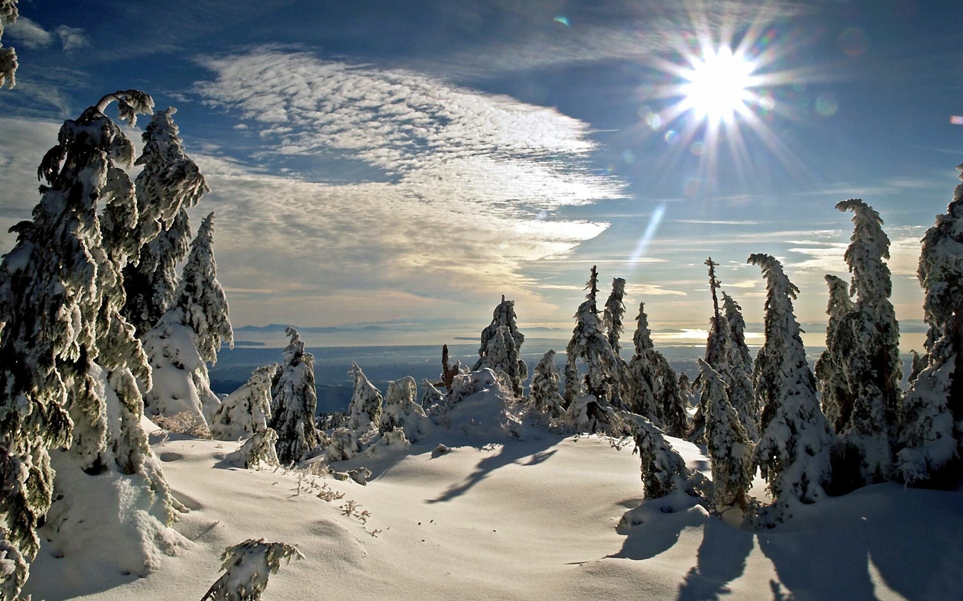 Winter Sunshine Wallpapers