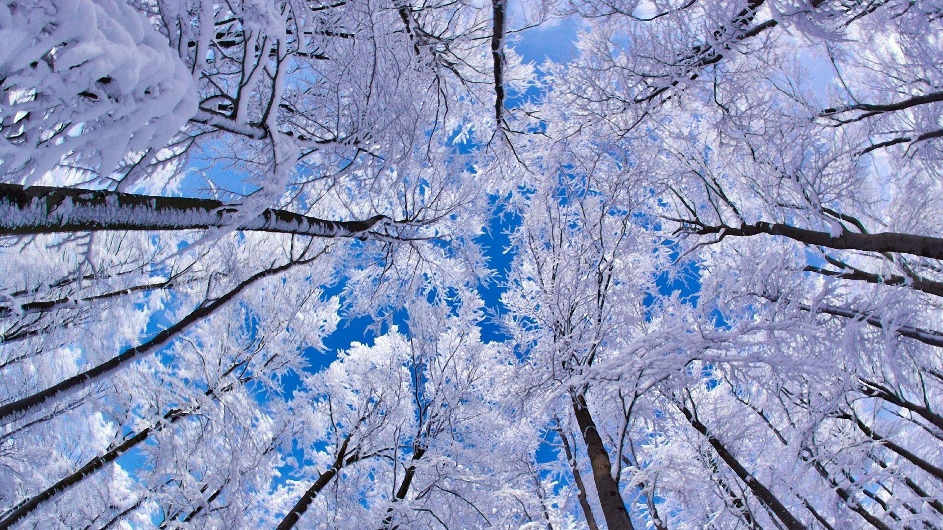 Winter For Android Wallpapers