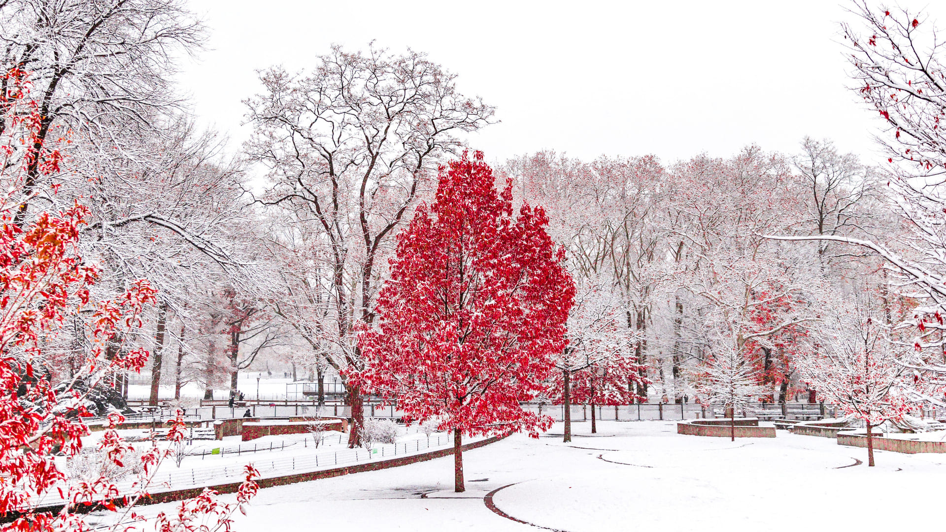 Winter For Computer Wallpapers